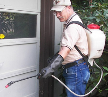 Pest Control Company in Portland, OR
