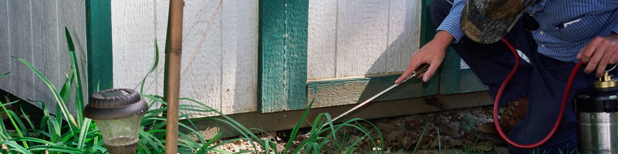 Termites Portland, OR
